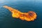 Oil spill in ocean crude oil dangerous threat ecological problem gas gasoline environmental disaster nature ecosystem
