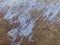 Oil stains on beach sand environmental disaster