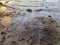 Oil stains on beach sand environmental disaster