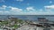 Oil Tankers and Cargo Ships on the Delaware River, Marcus Hook Pennsylvania