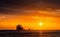 Oil tankers ship at sea on a background of sunset sky.