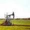 An oil well pump jack pumps oil on a summer day in a field