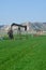Oil well pumping in a rural Nebraska field