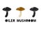 Oiler mushroom or Slippery Jack, silhouette icons set with lettering. Imitation of stamp, print with scuffs