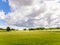 Oilseed field under dramatic sky