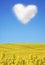 Oilseed and a heart shaped cloud