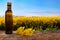 Oilseed rape in bottle with crop in background