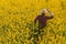 Oilseed rape farmer looking over cultivated field in bloom