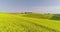 Oilseed Rape Field Canola Blooming Agriculture Growth Ecology