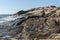 Oily coating on rocks on Narragansett Bay