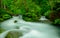 Oirase gorge in Aomori, Japan