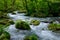 Oirase gorge in fresh green, Aomori, Japan