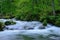 Oirase gorge in fresh green, Aomori, Japan