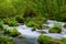 Oirase gorge in fresh green, Aomori, Japan