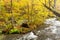 Oirase Gorge Stream in Autumn Red