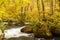 Oirase Mountain Stream in autumn