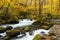 Oirase Mountain Stream in autumn