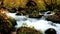 Oirase mountain stream flow passing rocks in the colorful forest of autumn season in Oirase Gorge.