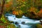 Oirase River in Aomori, Japan