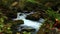 Oirase River flow passing rocks covered with green moss and colorful falling leaves of autumn