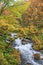 Oirase Stream in autumn - Towada, Aomori, Japan