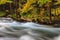 Oirase Stream in autumn at Towada Hachimantai National Park in Aomori, ,Tohoku, Japan