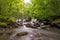 Oirase Stream flowing through large rocks, surrounded by a lush green forest in Aomori, Japan