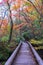 Oirase stream pathway, beautiful fall foliage scene in autumn colors