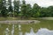 Oizumi ga ike pond of Motsu temple in Hiraizumi