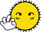 Ok thumb sign shining yellow sun