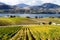 Okanagan Falls Skaha Lake Vineyard