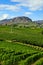 Okanagan Valley British Columbia Winery Vineyard Landscape