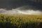 Okanagan Valley Corn Field Irrigation