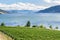 Okanagan Valley Vineyard on a Spring Day