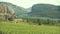 Okanagan Valley Vineyards and Vaseux Lake 4K UHD