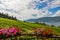 Okanagan Vineyard