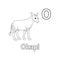 Okapi Animal Alphabet ABC Isolated Coloring Page O