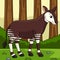 Okapi Animal Colored Cartoon Illustration