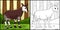 Okapi Animal Coloring Page Colored Illustration