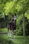 An okapi forest girrafe standing in the forest eating leaves