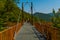 OKATSE, GEORGIA: Beautiful scenic landscape near the bridge in Okatse Canyon on a sunny summer day.