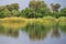 Okavango delta landscape, dugout canoe trip, botswana, africa