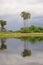 Okavango delta landscape, dugout canoe trip, botswana, africa