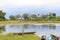 Okavango delta landscape, dugout canoe trip, botswana, africa