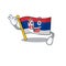 Okay serbia flag flown on cartoon pole