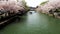 Okazaki Jikkokubune Boat Ride during cherry blossoms viewing season