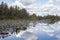 Okefenokee Swamp Prairie Habitat landscape panorama