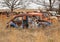 OKEMAH, OK - 2 MAR 2020: Wrecked Volkswagon Beetle cars in a field