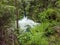 Okere falls in New Zealand bush