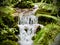 The Okere Falls, Rotorua, New Zealand.